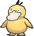 054 Psyduck