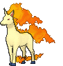 078 Rapidash