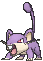 019 Rattata