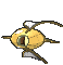 Magikarp