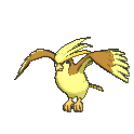 018 Pidgeot