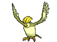 017 Pidgeotto