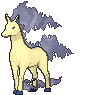 078 Rapidash
