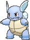 008 Wartortle